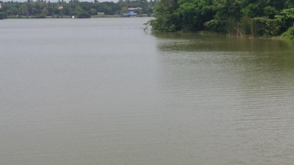 Sunhill Lake Tourist Rest Ξενοδοχείο Anuradhapura Εξωτερικό φωτογραφία