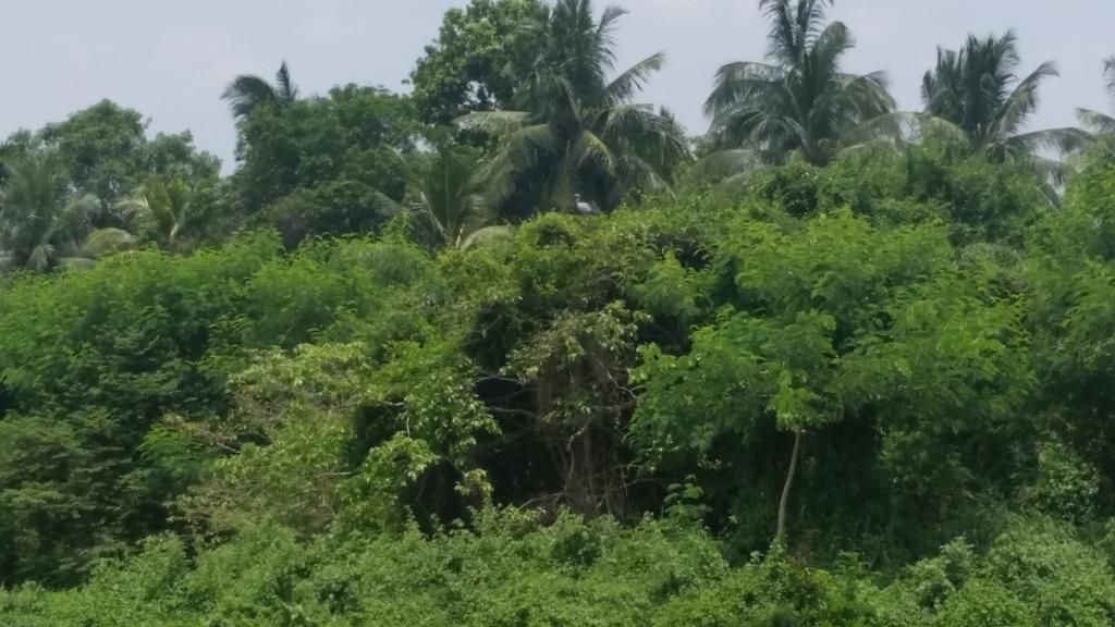 Sunhill Lake Tourist Rest Ξενοδοχείο Anuradhapura Εξωτερικό φωτογραφία